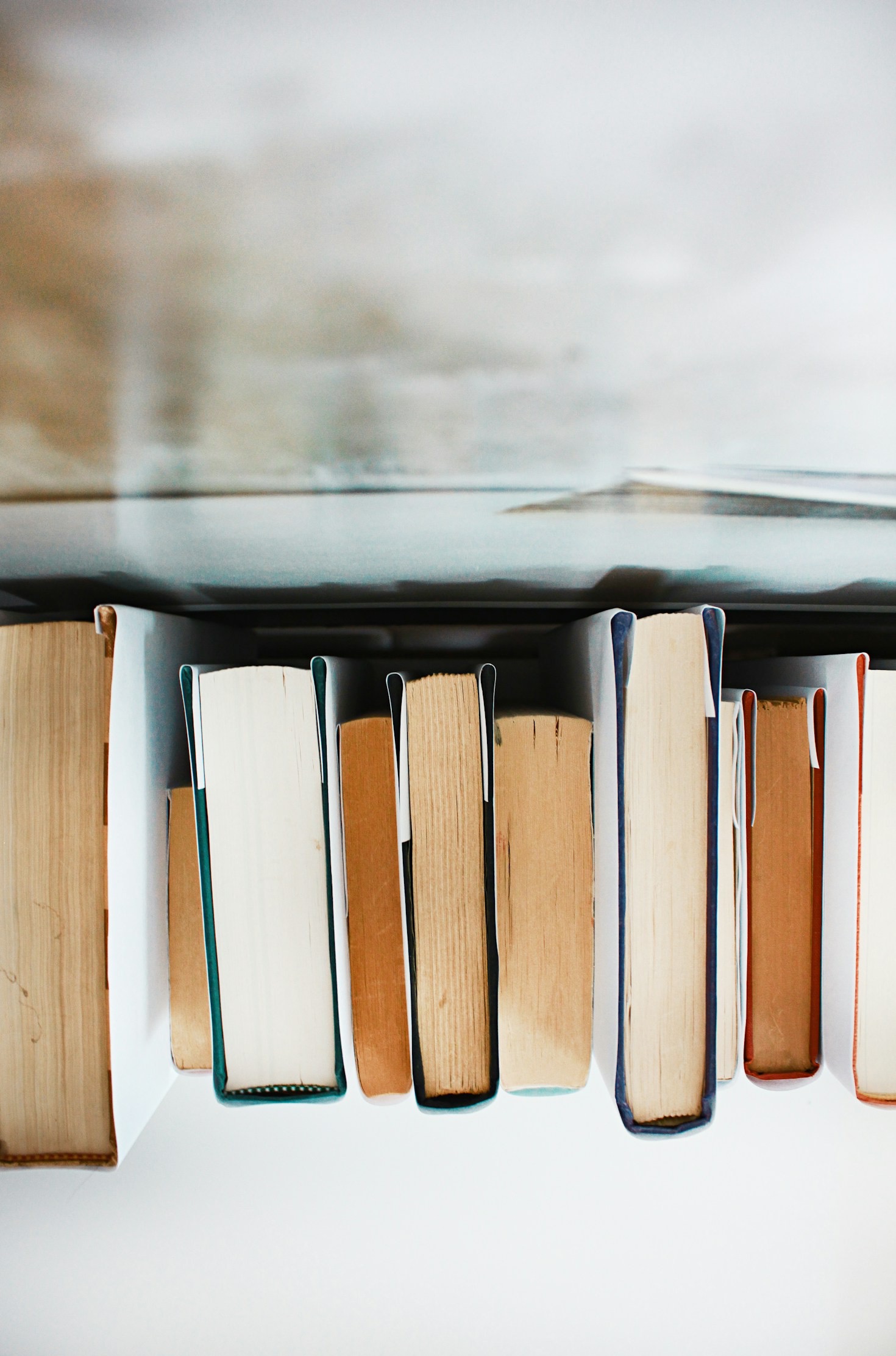 Memoirs That Resonate: Krank Books Highlights