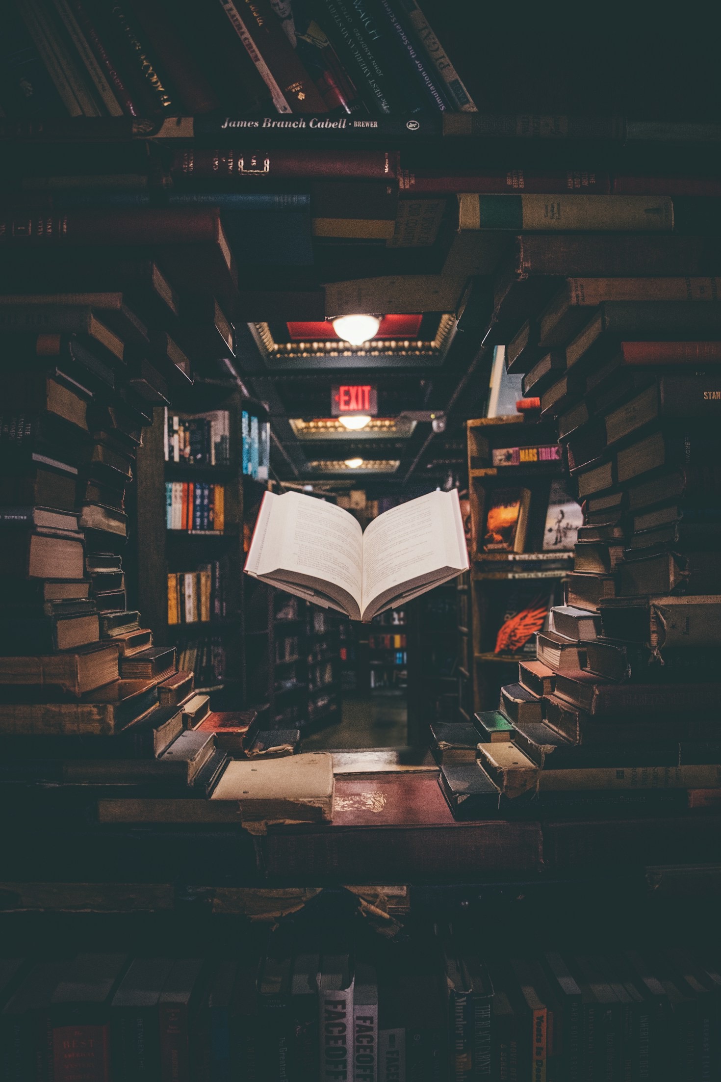 Authors Speak: Collaborating with Krank Books